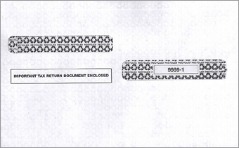 TF99991, W-2 Double-Window Envelope 