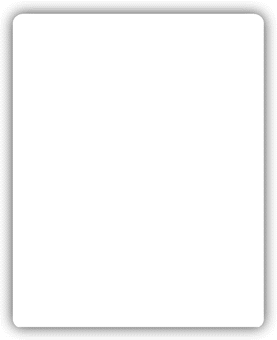 12656, Blank Laser/Inkjet Labels 4 wide x 5 high 