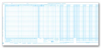 150NJ, Payroll & Cash Disb Max Columns Journal