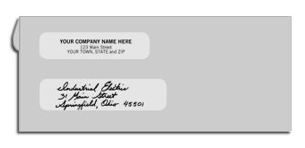 Double Window Check Envelope 773