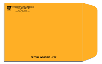 Brown Kraft Mailing Envelope 795