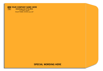 796, Brown Kraft Mailing Envelope