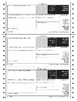 TF2598, Continuous 1098 Self-Mailer