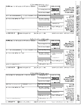 TF5167, Laser 1099-PATR Payer and/or Borrower Copy B