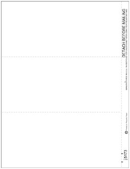 TF5173, 3-Up Blank Laser Miscellaneous 1099